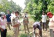 गाजीपुर: बाग में मिला दंपत्ति का शव, क्षेत्र में सनसनी