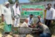 गाजीपुर: हरियाली अमावस्या पर धीतुवा में हुआ वृहद पौधारोपण, कृषि विज्ञान केंद्र आंकुशपुर के वैज्ञानिकों ने दिया पर्यावरण संरक्षण का संदेश