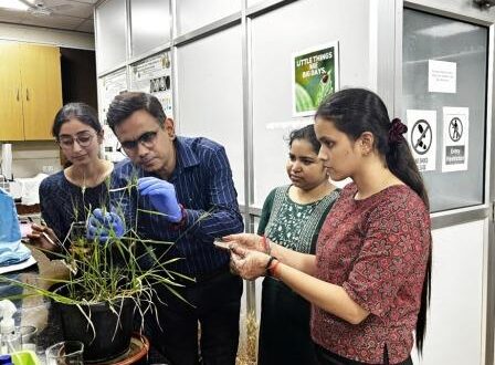 बीएचयू के वैज्ञानिकों ने खोजा लाभकारी बैक्टीरिया