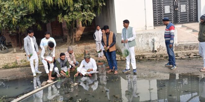 जलजमाव और घटिया नाला निर्माण को लेकर नगर पंचायत जंगीपुर के सभासदों ने किया विरोध प्रदर्शन