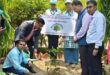 विश्व पर्यावरण दिवस पर यूनियन आरसेटी गाजीपुर में हुआ वृक्षारोपण