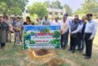 गाजीपुर: पर्यावरण दिवस पर जिला जज ने किया पौधरोपण, कहा- पेड़ हमारे प्राण