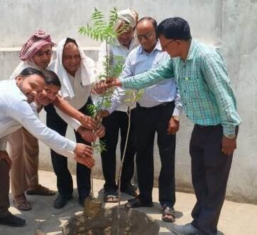 गाजीपुर: एमजेआरपी पब्लिक स्कूल, जगदीशपुरम में विश्व पर्यावरण दिवस पर हुआ वृक्षारोपण
