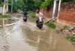 गाजीपुर: ढढंनी-ताजपुर मार्ग पर जलभराव से क्षेत्रवासी परेशान