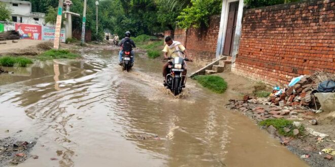 गाजीपुर: ढढंनी-ताजपुर मार्ग पर जलभराव से क्षेत्रवासी परेशान