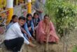 सत्यदेव इंटरनेशनल स्कूल गाज़ीपुर में विशाल पौधारोपण के कार्यक्रम का हुआ आयोजन