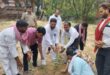 गाजीपुर: विधायक जैकिशन साहू ने बूथ स्‍तर पर किया पौधरोपण