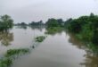 गाजीपुर: गंगा का जलस्‍तर खतरे के निशान के पार, सहायक नदियां भी उफान पर